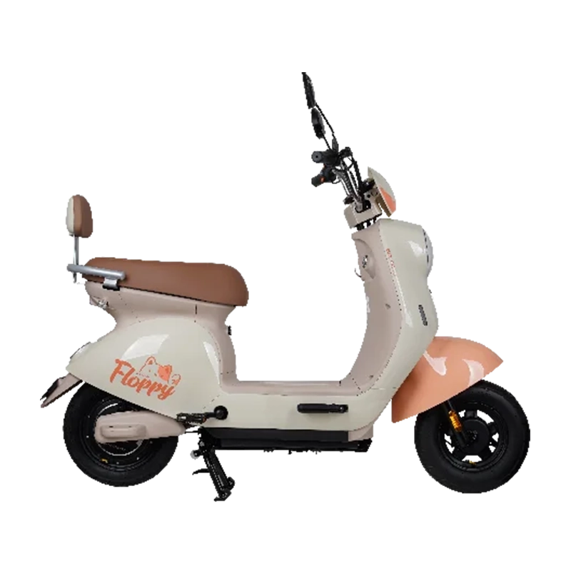 Sepeda Listrik NUV FLOPPY